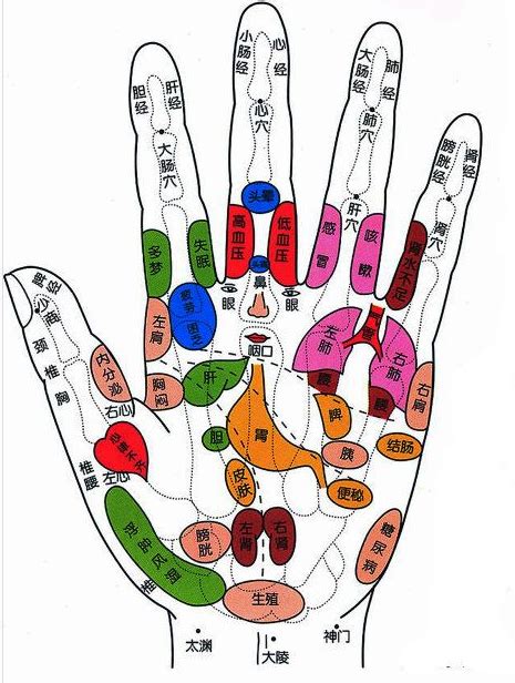 人的手掌心是什么穴位？是连接人体的那个器官？