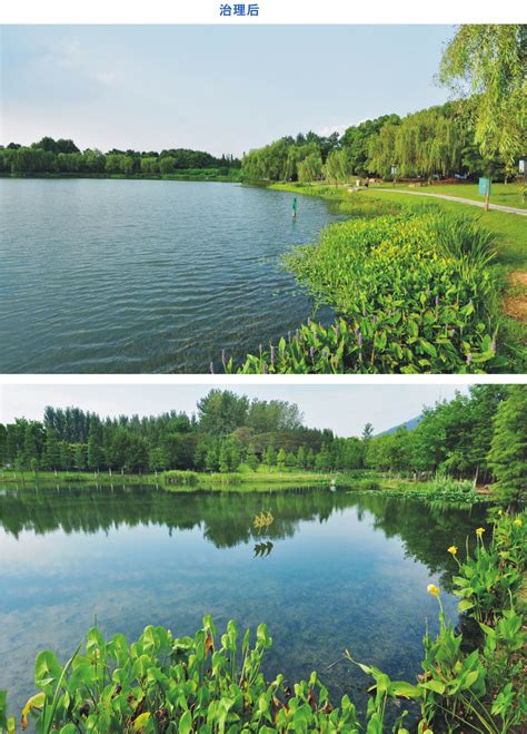合肥·蜀峰湾体育公园 上海水源地建设发展有限公司