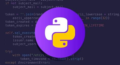 Python Code Copy and Paste 的图像结果