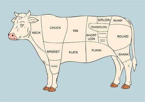 Meat Butcher Chart - 10 Free PDF Printables | Printablee