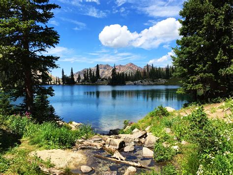 Red Pine Lake Hiking Trail | Utah camping, Salt lake city utah, Utah ...