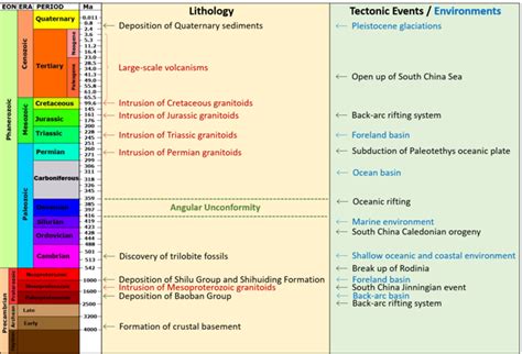 Determination of age of fossils — lesson. Science State Board, Class 10.