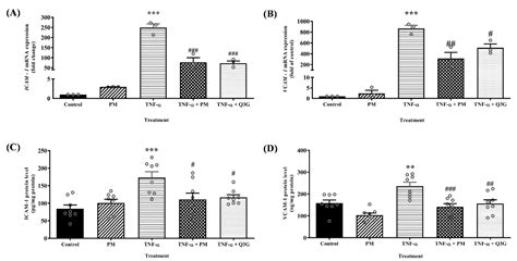 Persicaria minor (Huds.) Opiz Prevents In Vitro Atherogenesis by ...