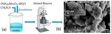 Field Emission Characterization of MoS2 Nanoflowers