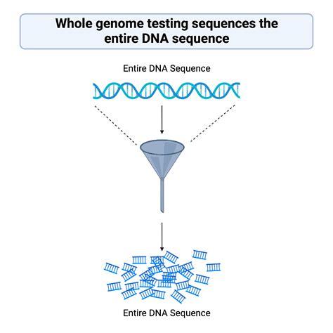All About Genetic Sequencing – TESS Research Foundation