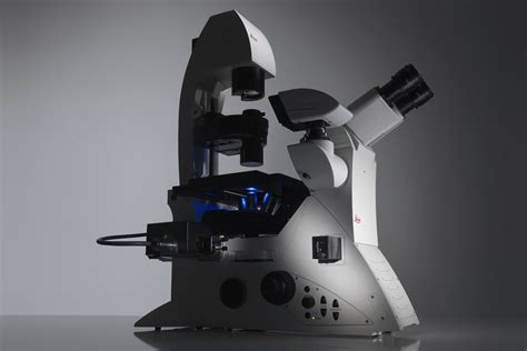 Image result for Using Light Microscope