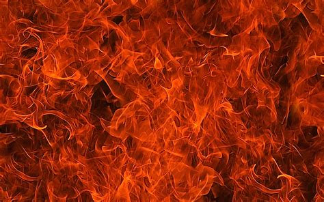 29+ Free Fire Textures
