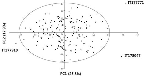 Phytochemicals and Antioxidant Activity of Korean Black Soybean ...