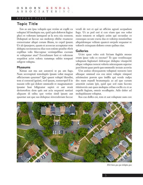 Data Report Layout Examples 的图像结果