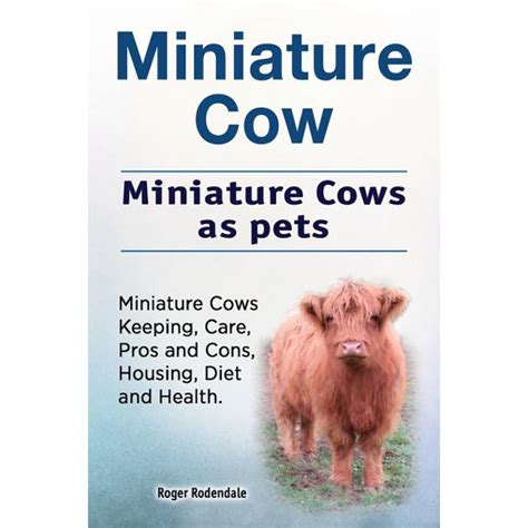 Miniature Cow. Miniature Cows as Pets. Miniature Cows Keeping, Care ...