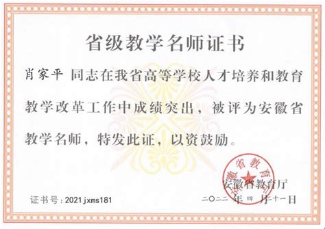 我校教师团队荣获2021年全国职业院校技能大赛教学能力比赛一等奖