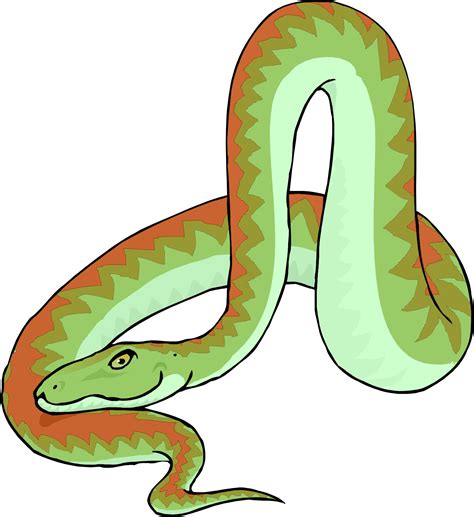 Free Cartoon Snake Images, Download Free Cartoon Snake Images png ...