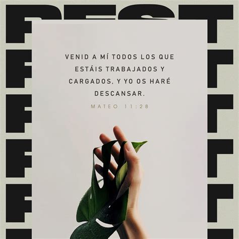 Mateo 11:28 Venid a mí, todos los que estáis cansados y cargados, y yo ...