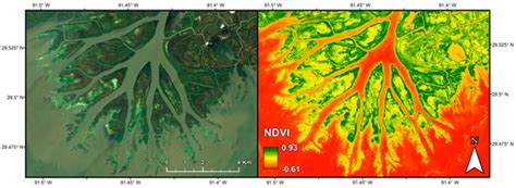 Integrating Imaging Spectrometer and Synthetic Aperture Radar Data for ...
