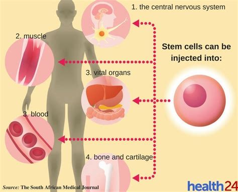 Cell Injection 的图像结果