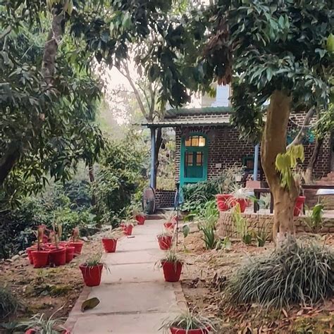 A CABIN IN THE WOODS (Dehradun) - B&B Reviews & Photos - Tripadvisor