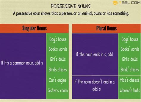 Possessive Nouns Forming The Possessive Noun With Easy Examples - Form ...