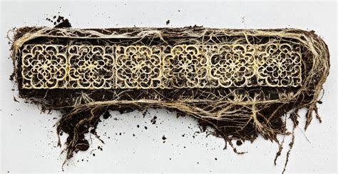 Image result for Alien Up Roots Tree