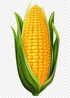 Corn On The Cob Clipart by Corn On The Cob Maize Clip Corn Png Clip Image Corn On The Cob Clipart