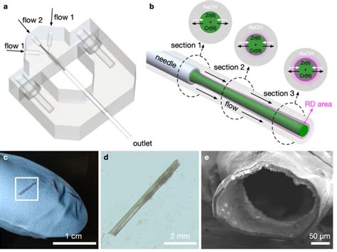 Continuous Flow Microfluidics 的图像结果