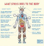 stress 的图像结果