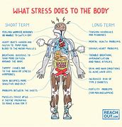 STRESS 的图像结果