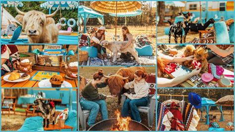 The Shaggy Cow Lounge & Cabanas w/ Fluffy Highland Cows!, Tree House ...