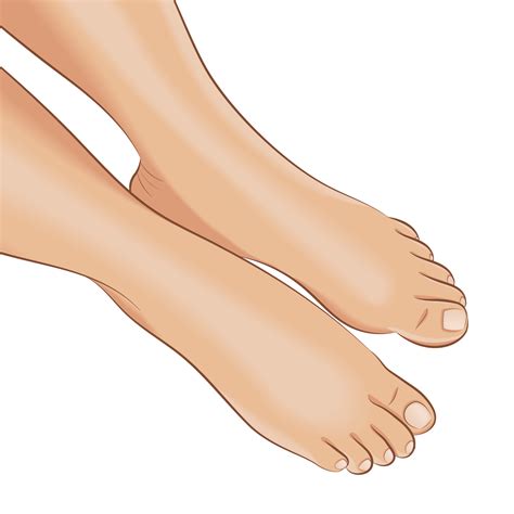 Foot Drawing 的图像结果