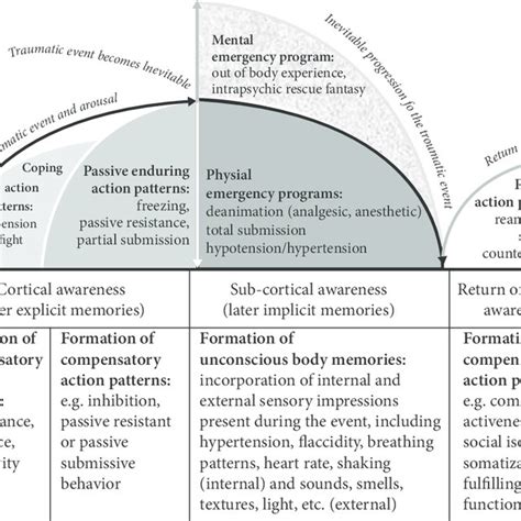 Image result for Implicit Memory Examples