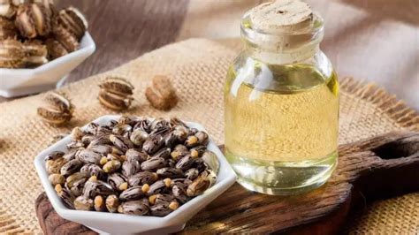 Castor oil vs cold-pressed castor oil: Which one’s better for hair ...