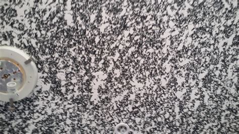 Knock Down Ceiling Texture: Everything You Need To Know - Ceiling Ideas