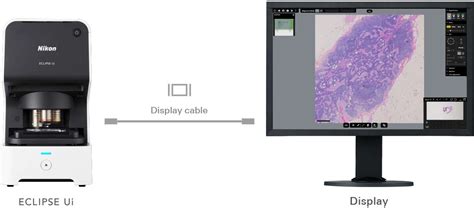 Eclipse UI Script 的图像结果