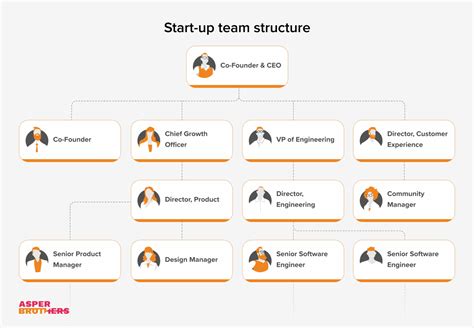 Startup Team Structure: Role, Responsibilities, and Actionable Tips | ASPER BROTHERS