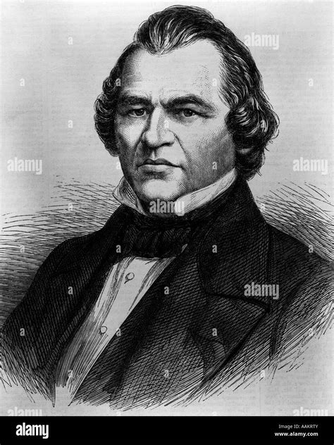 President Andrew Johnson 的图像结果