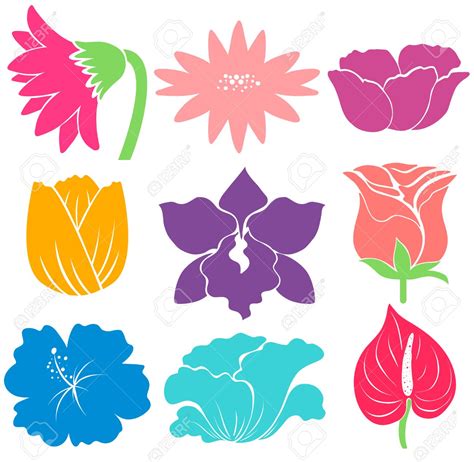 Image result for Image Contenes Code HTML/CSS