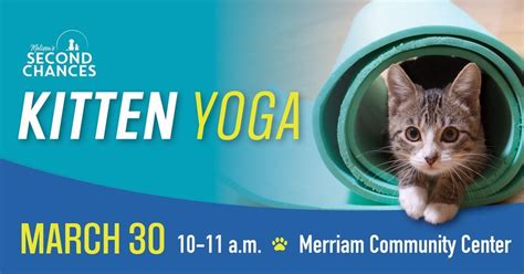 Kitten Yoga, 6040 Slater Street, Merriam, KS, United States, Kansas ...