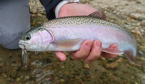 Rhode Island Fishing Report- January 11, 2024 - On The Water