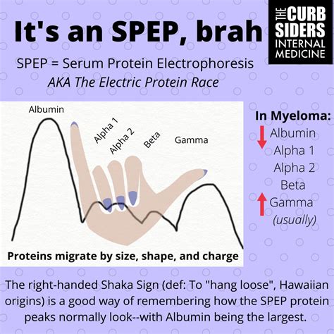 Protein Electrophoresis Diagnosis at Frank Keith blog