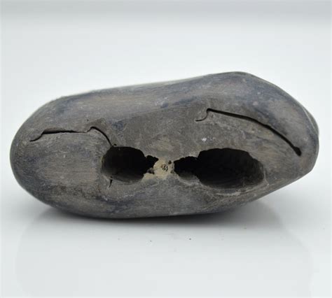 Genuine Swayambhu Shaligram Vishnu Idol For Pooja Small Size (Max: 5 C ...