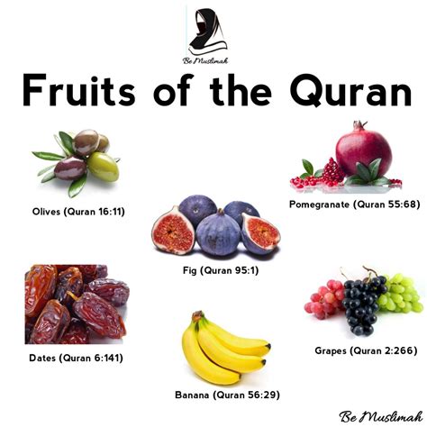 Fruits of the Quran | Fruit and veg, Pregnancy food, Fruit