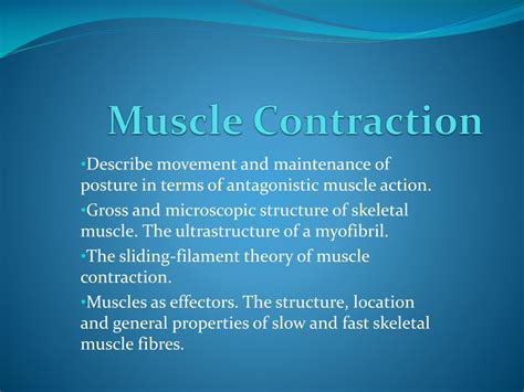 Image result for Muscle Contraction Functional Task