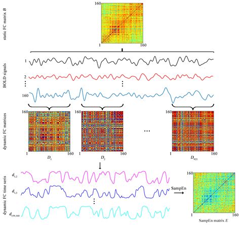 Sample Entropy Combined with the K-Means Clustering Algorithm Reveals ...