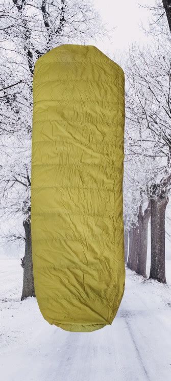 Sleeping bag