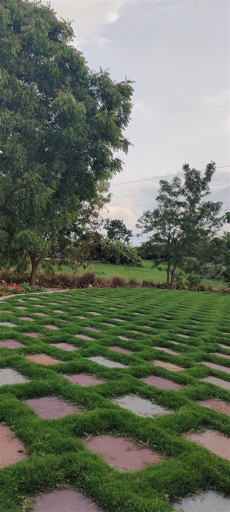 NEERTARU RESORT & WELLNESS (Mhow) - Resort Reviews & Photos - Tripadvisor