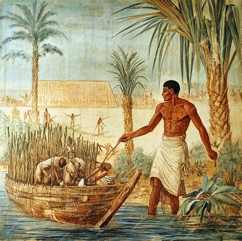 The impact of the Nile River on ancient Egyptian agriculture and ...