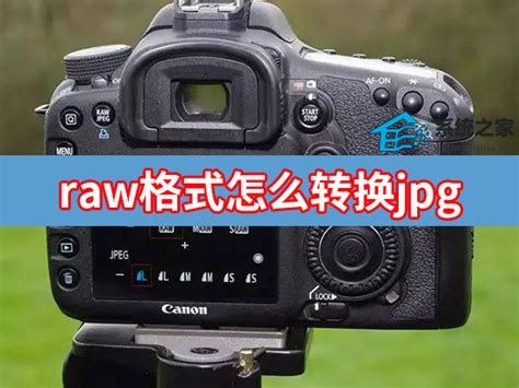 相机Raw格式怎么转换JPG -迅捷图片转换器
