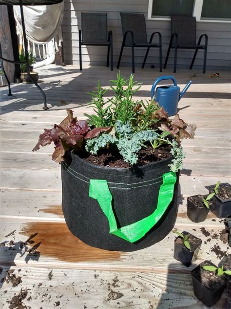 Companion Planting Grow Bag Class, Shelton Herb Farm, Leland, 12 May ...