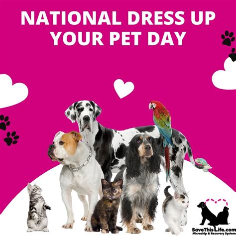 Save This Life - Microchip & Pet Recovery System (@savethislifeofficial ...