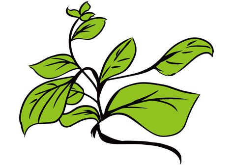 Image result for Development.NET Beautiful