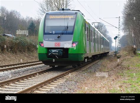 Train Full Local 的图像结果